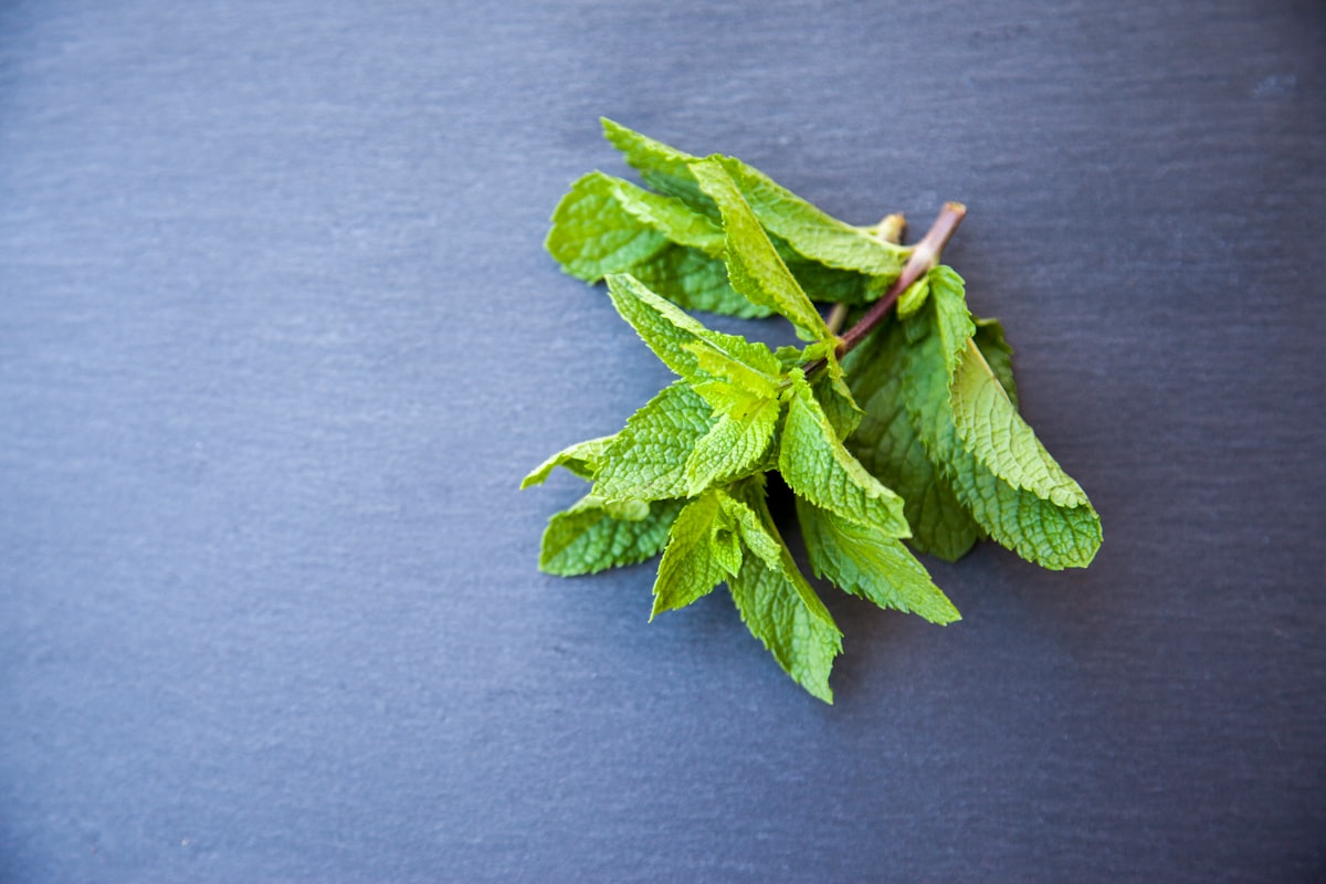Infusiones naturales para la digestión